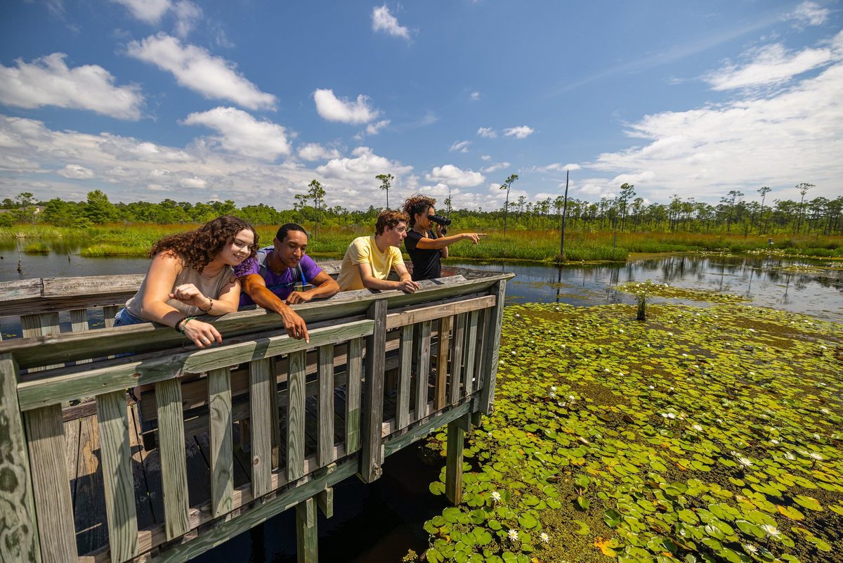 Outdoor adventure and wildlife experience in Louisiana