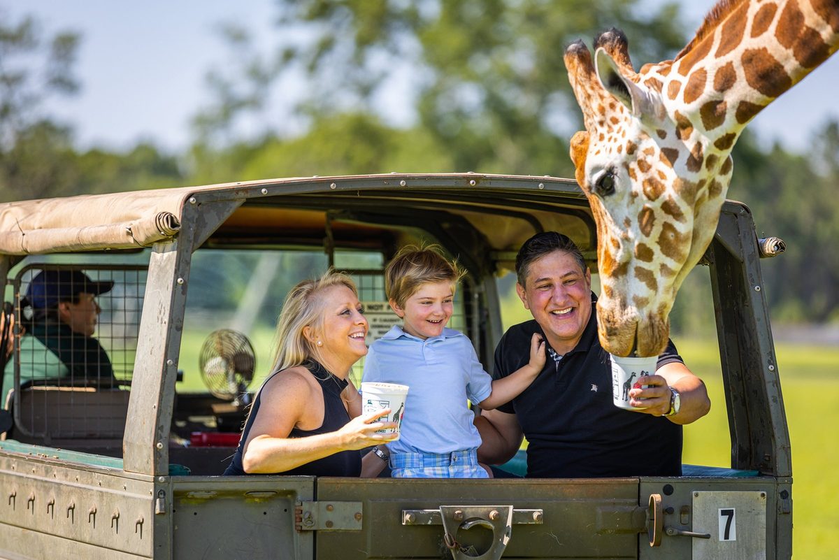 Outdoor adventure and wildlife experience in Louisiana