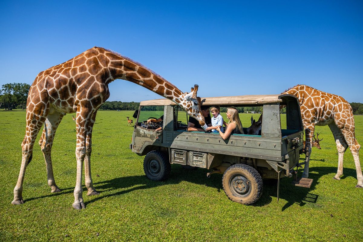 Outdoor adventure and wildlife experience in Louisiana