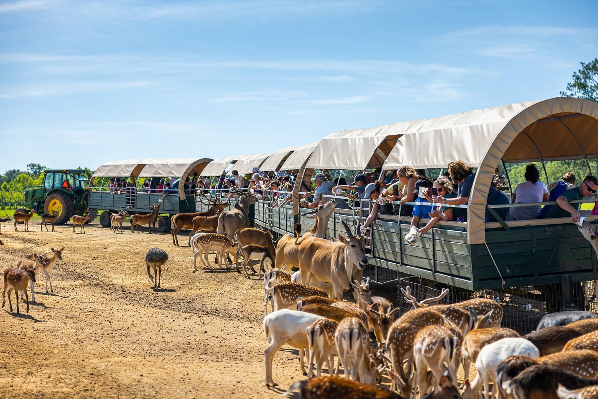 Outdoor adventure and wildlife experience in Louisiana