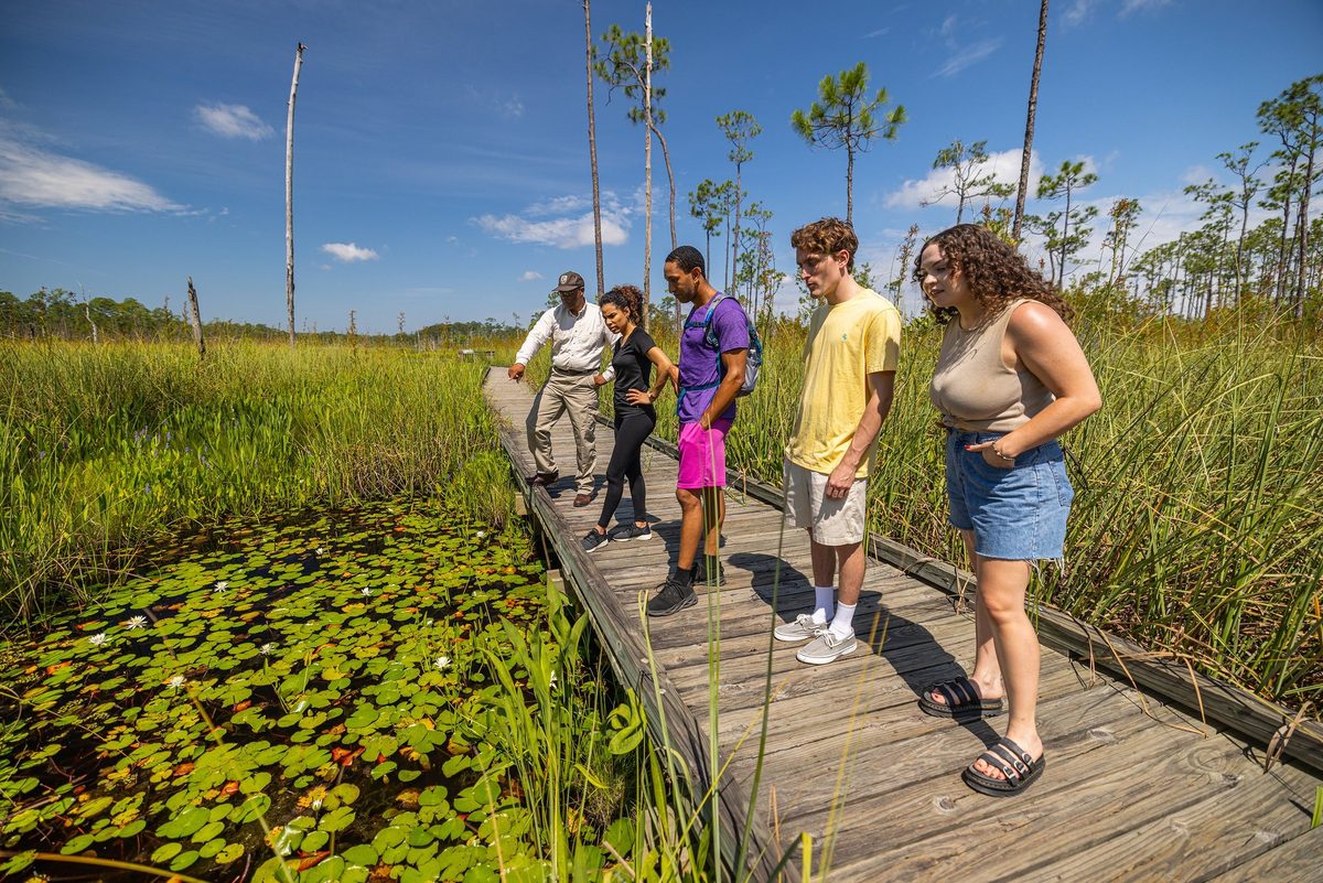 Outdoor adventure and wildlife experience in Louisiana