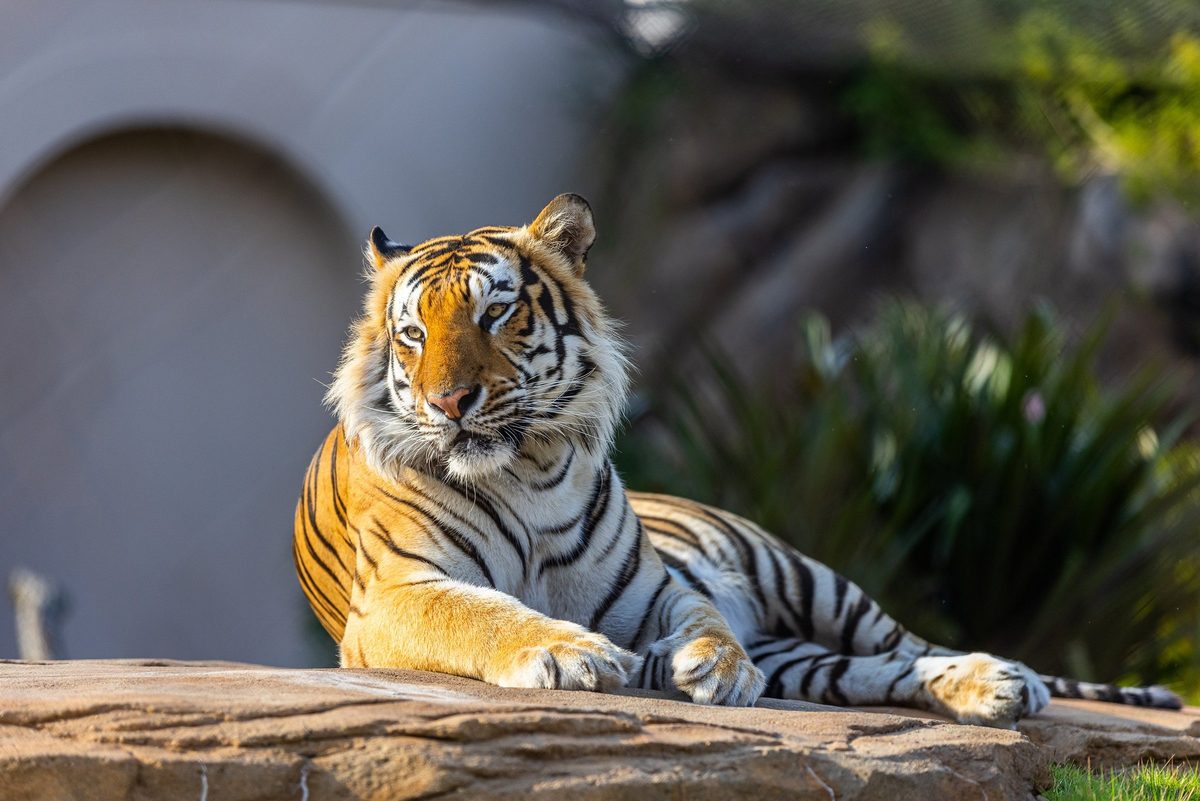 Outdoor adventure and wildlife experience in Louisiana