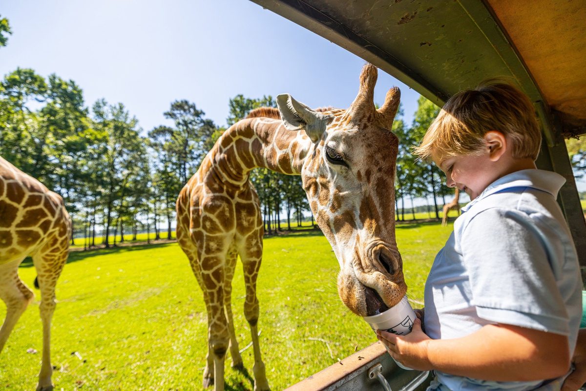 Outdoor adventure and wildlife experience in Louisiana