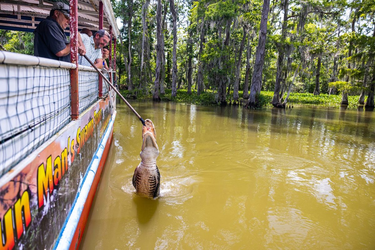 Outdoor adventure and wildlife experience in Louisiana