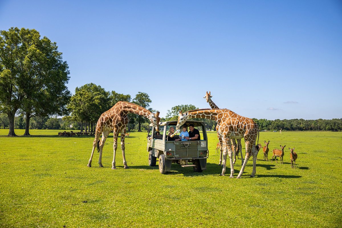 Outdoor adventure and wildlife experience in Louisiana