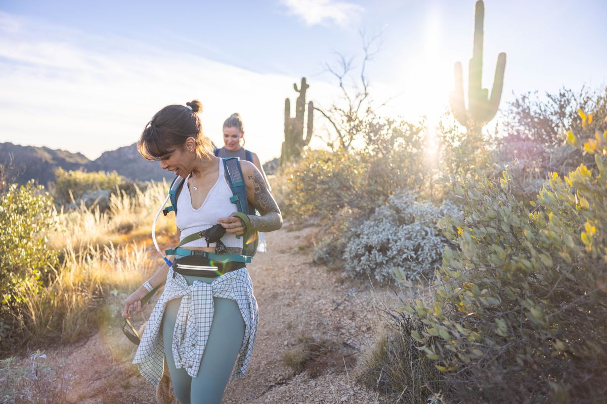 Hikers walking through cactus country at sunrise