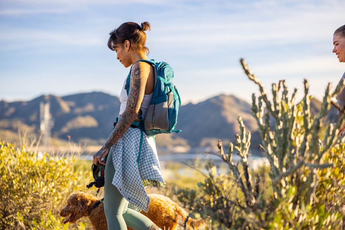 Hiker taking in a saguaro-lined trail