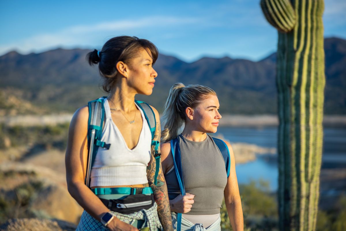 Hikers with a dog above a desert lake