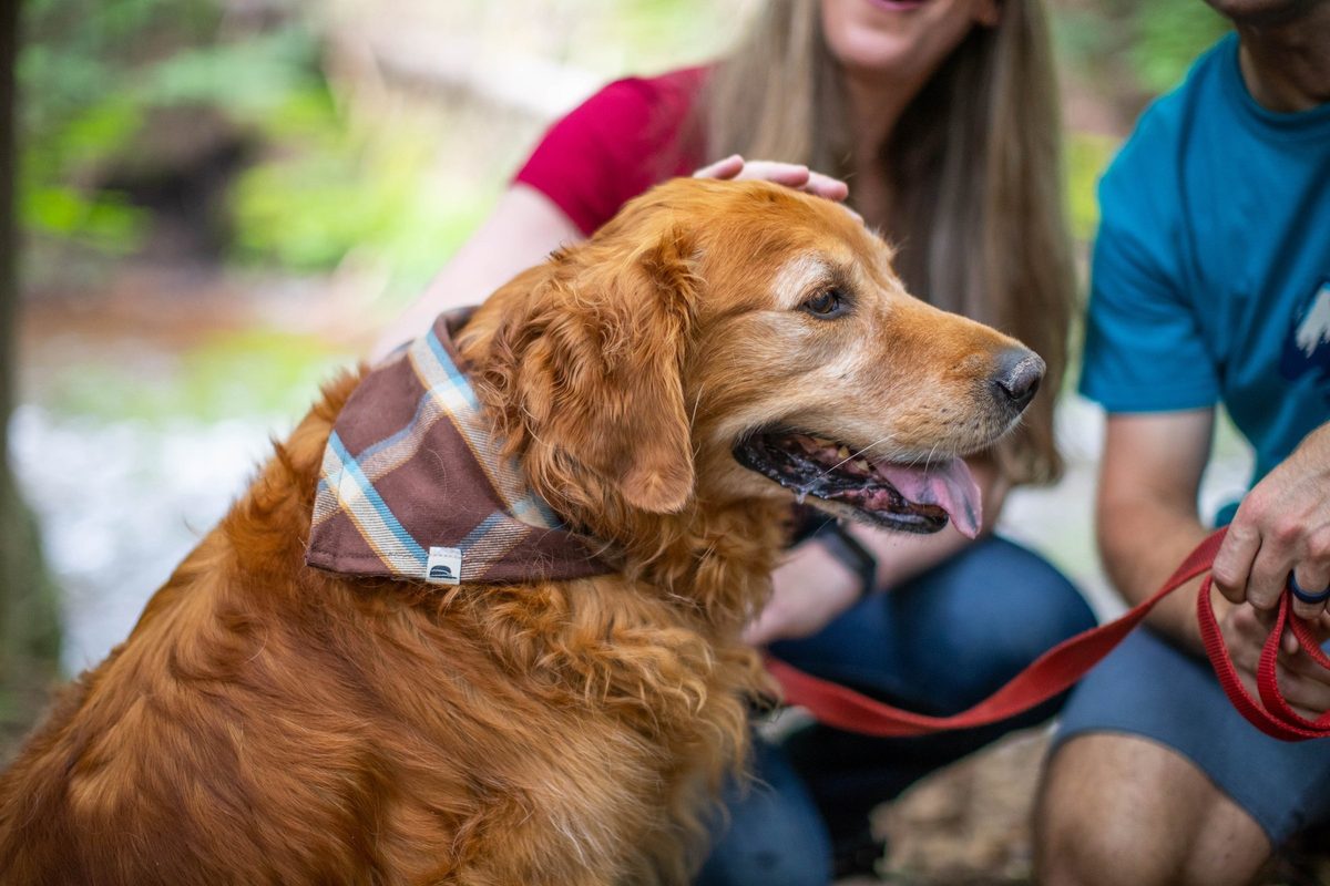 Friends outdoors in rugged Northwoods apparel, lifestyle brand photography